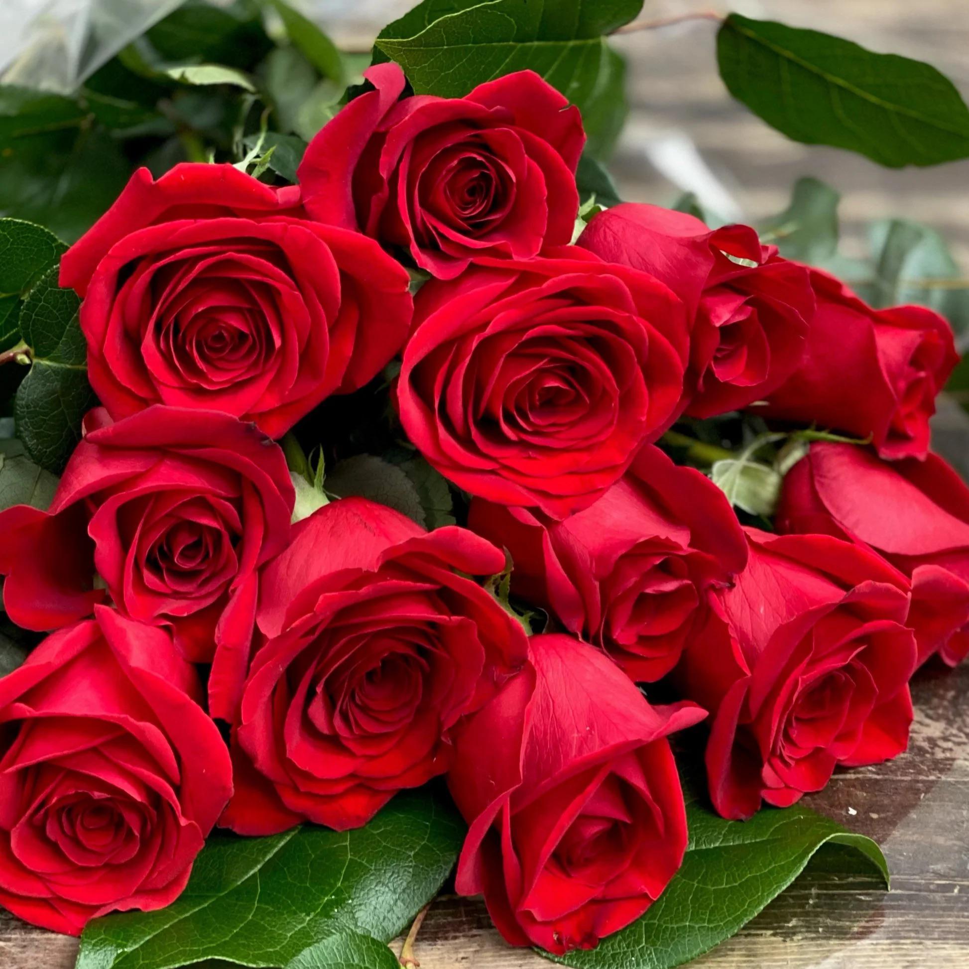Say Something Dozen Roses